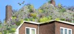 Green Roof. Arrivano le nuove eco-tegole super isolanti in plastica riciclata